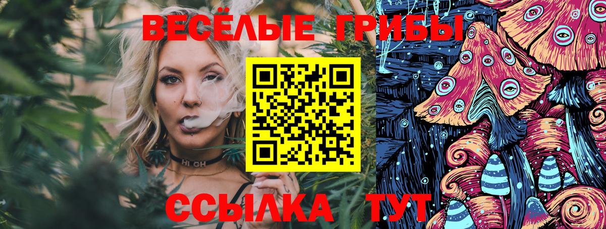 Новокубанск  Галлюциногенные грибы мухоморы  Вход с VPN 